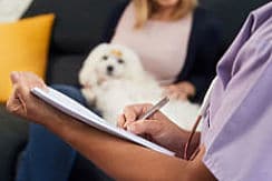 Young latina woman working as veterinary, vet talking to dog owner during house call. Animal doctor writing note for pet prescription medicine at home. Close-up of hand holding pen