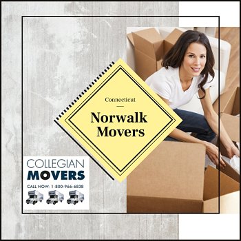 Norwalk Movers Moving A Beautiful Girl Unpacking Boxes