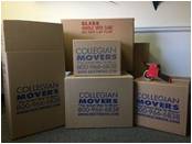 Stack of Collegian Movers Boxes For Sale