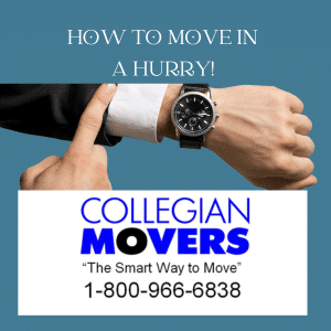 Last Minute Moving Tips on How To Move in a Hurry