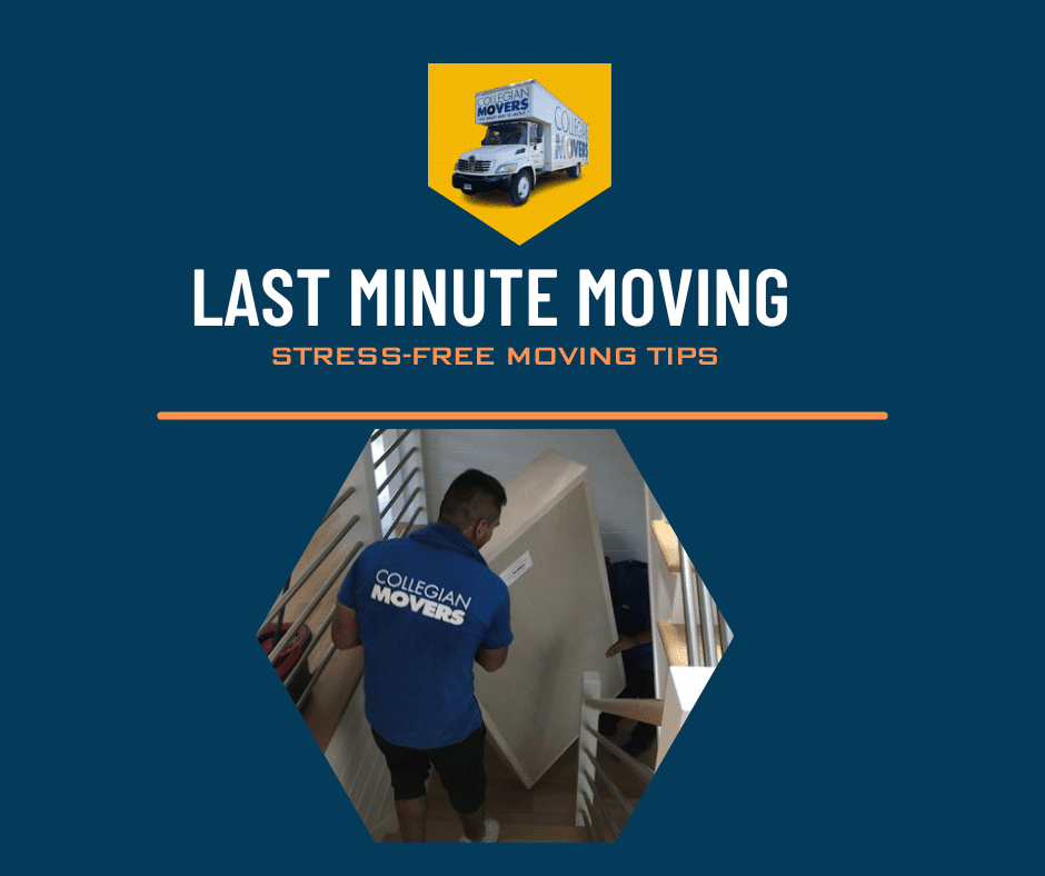 Last Minute Moving Help