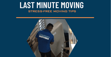 Last Minute Moving Help