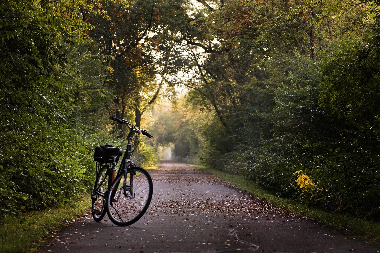 A bike parked on a trail.