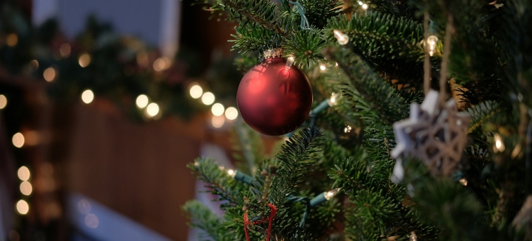 Ornament on a tree