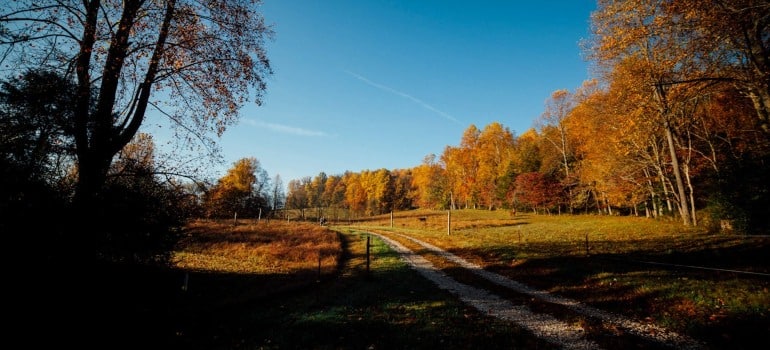 A road taken by the people moving from Connecticut to Tennessee