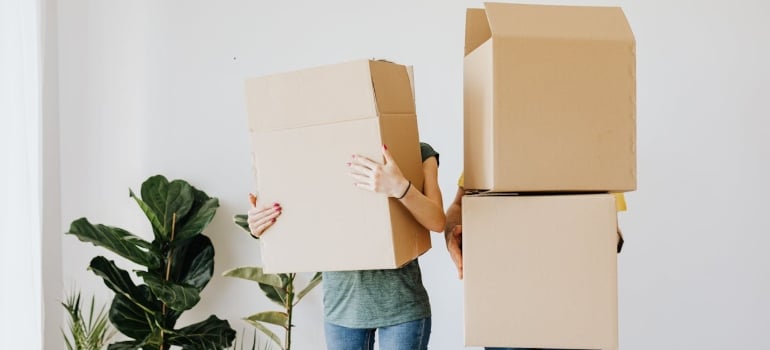 People carrying boxes and getting ready to move internationally from Connecticut