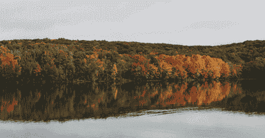 Trees near a lake in CT on the Housatonice River in Milford, Stratford, Derby, and Shelton