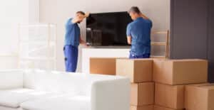 professional specialty item movers