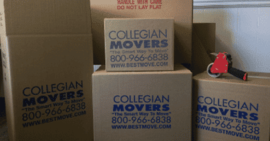 Multiple sized boxes, tape, bubble wrap and other must have packing supplies