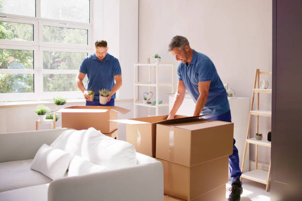 Connecticut Movers - Collegian Movers
